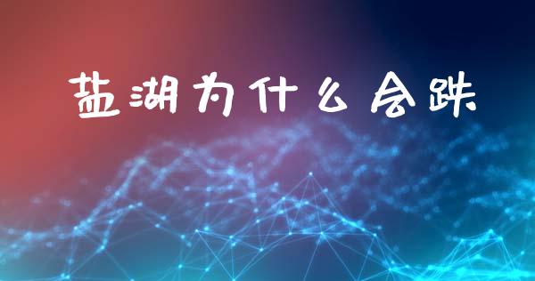 盐湖为什么会跌_https://wap.sdyuehang.cn_新股申购_第1张