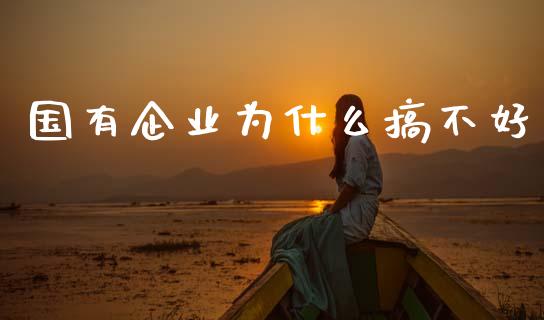 国有企业为什么搞不好_https://wap.sdyuehang.cn_美股行情_第1张