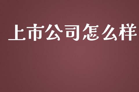 上市公司怎么样_https://wap.sdyuehang.cn_债券资讯_第1张