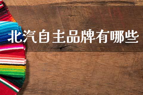 北汽自主品牌有哪些_https://wap.sdyuehang.cn_新股申购_第1张