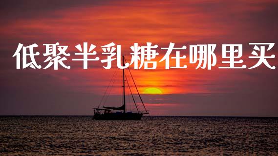 低聚半乳糖在哪里买_https://wap.sdyuehang.cn_美股行情_第1张
