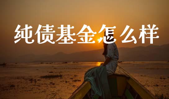 纯债基金怎么样_https://wap.sdyuehang.cn_美股行情_第1张