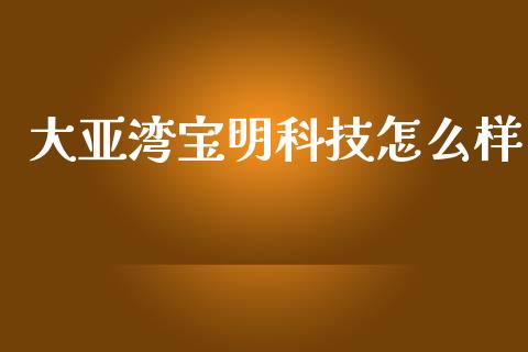大亚湾宝明科技怎么样_https://wap.sdyuehang.cn_债券资讯_第1张