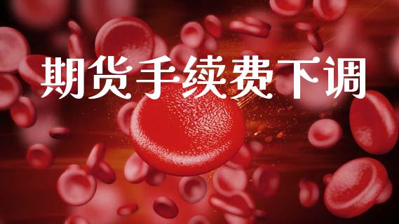 期货手续费下调_https://wap.sdyuehang.cn_产经新闻_第1张