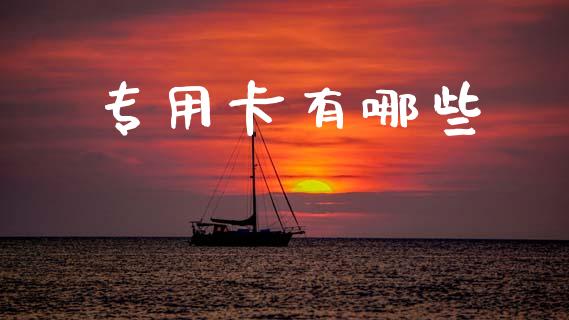 专用卡有哪些_https://wap.sdyuehang.cn_债券资讯_第1张