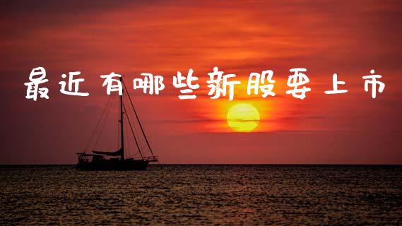 最近有哪些新股要上市_https://wap.sdyuehang.cn_新股申购_第1张