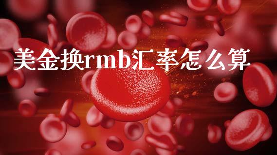 美金换rmb汇率怎么算_https://wap.sdyuehang.cn_美股行情_第1张