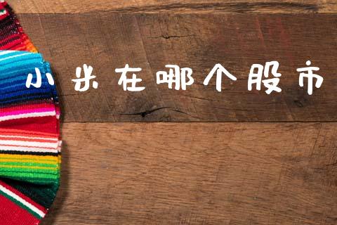 小米在哪个股市_https://wap.sdyuehang.cn_新股申购_第1张