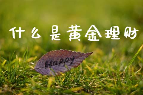 什么是黄金理财_https://wap.sdyuehang.cn_新股申购_第1张