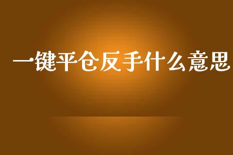 一键平仓反手什么意思_https://wap.sdyuehang.cn_美股行情_第1张