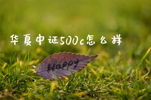 华夏中证500c怎么样_https://wap.sdyuehang.cn_债券资讯_第1张