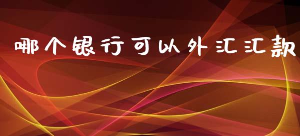 哪个银行可以外汇汇款_https://wap.sdyuehang.cn_美股行情_第1张