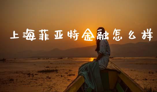 上海菲亚特金融怎么样_https://wap.sdyuehang.cn_债券资讯_第1张