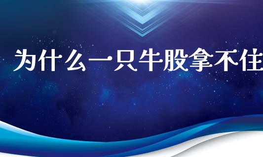 为什么一只牛股拿不住_https://wap.sdyuehang.cn_美股行情_第1张