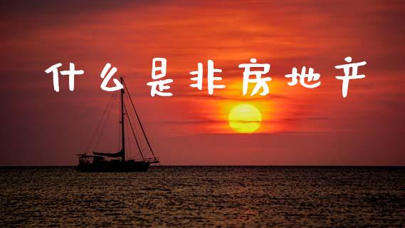 什么是非房地产_https://wap.sdyuehang.cn_债券资讯_第1张