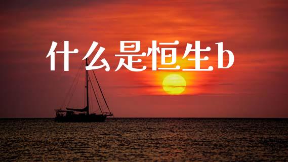 什么是恒生b_https://wap.sdyuehang.cn_美股行情_第1张
