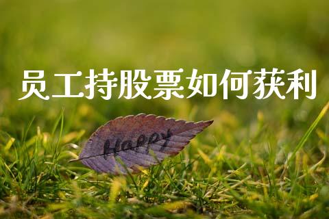 员工持股票如何获利_https://wap.sdyuehang.cn_债券资讯_第1张
