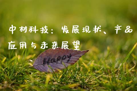 中材科技：发展现状、产品应用与未来展望_https://wap.sdyuehang.cn_债券资讯_第1张