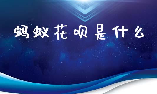 蚂蚁花呗是什么_https://wap.sdyuehang.cn_新股申购_第1张