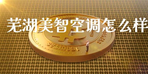 芜湖美智空调怎么样_https://wap.sdyuehang.cn_产经新闻_第1张
