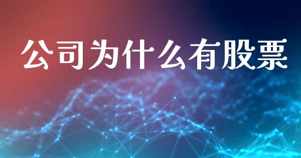 公司为什么有股票_https://wap.sdyuehang.cn_新股申购_第1张