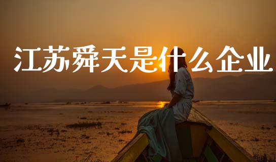 江苏舜天是什么企业_https://wap.sdyuehang.cn_债券资讯_第1张