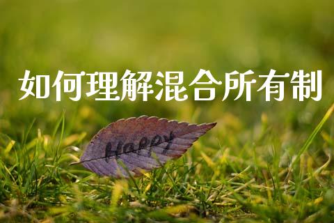 如何理解混合所有制_https://wap.sdyuehang.cn_新股申购_第1张