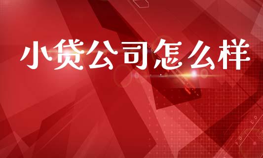 小贷公司怎么样_https://wap.sdyuehang.cn_新股申购_第1张