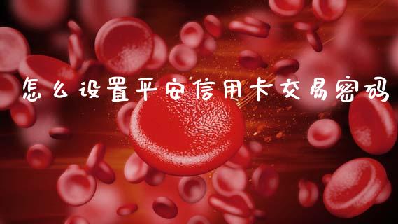 怎么设置平安信用卡交易密码_https://wap.sdyuehang.cn_美股行情_第1张