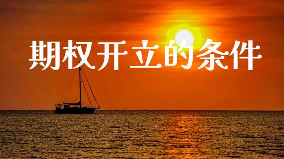 期权开立的条件_https://wap.sdyuehang.cn_债券资讯_第1张