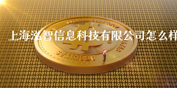 上海泓智信息科技有限公司怎么样_https://wap.sdyuehang.cn_美股行情_第1张