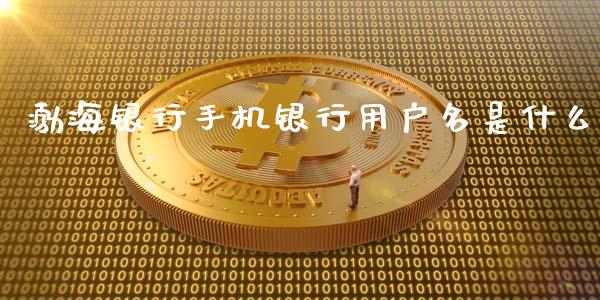 渤海银行手机银行用户名是什么_https://wap.sdyuehang.cn_美股行情_第1张