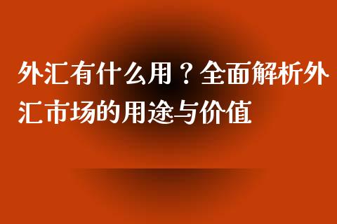 外汇有什么用？全面解析外汇市场的用途与价值_https://wap.sdyuehang.cn_产经新闻_第1张