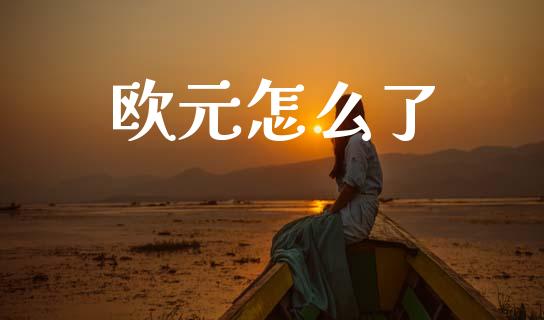 欧元怎么了_https://wap.sdyuehang.cn_新股申购_第1张