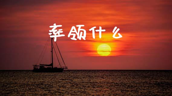 率领什么_https://wap.sdyuehang.cn_新股申购_第1张