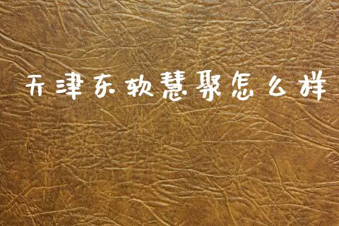 天津东软慧聚怎么样_https://wap.sdyuehang.cn_产经新闻_第1张