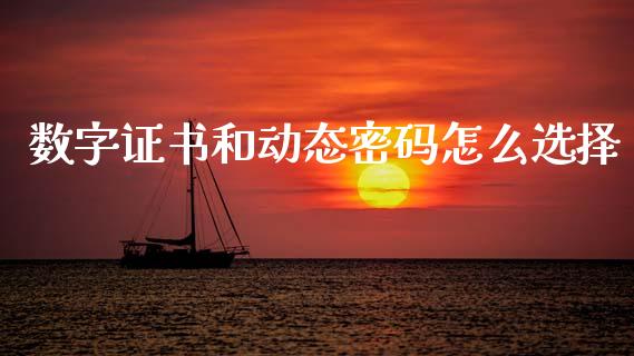数字证书和动态密码怎么选择_https://wap.sdyuehang.cn_产经新闻_第1张