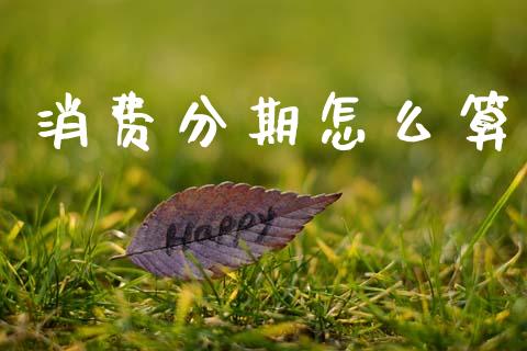 消费分期怎么算_https://wap.sdyuehang.cn_债券资讯_第1张