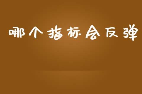 哪个指标会反弹_https://wap.sdyuehang.cn_新股申购_第1张