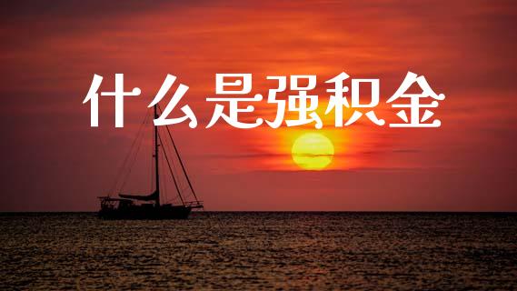 什么是强积金_https://wap.sdyuehang.cn_美股行情_第1张