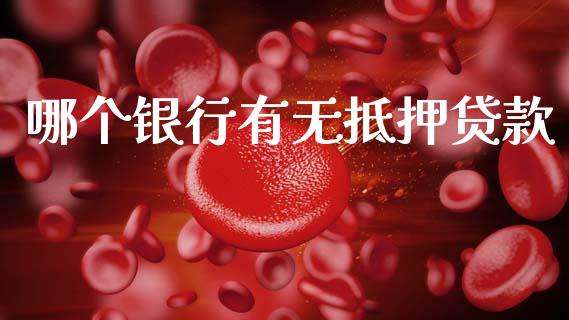 哪个银行有无抵押贷款_https://wap.sdyuehang.cn_新股申购_第1张