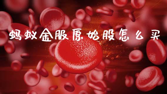 蚂蚁金服原始股怎么买_https://wap.sdyuehang.cn_美股行情_第1张