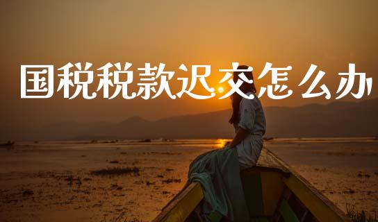 国税税款迟交怎么办_https://wap.sdyuehang.cn_美股行情_第1张