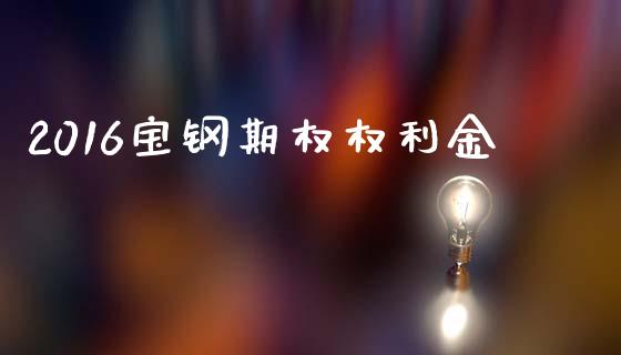 2016宝钢期权权利金_https://wap.sdyuehang.cn_产经新闻_第1张