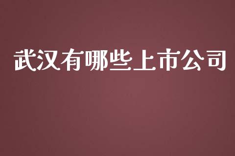 武汉有哪些上市公司_https://wap.sdyuehang.cn_产经新闻_第1张