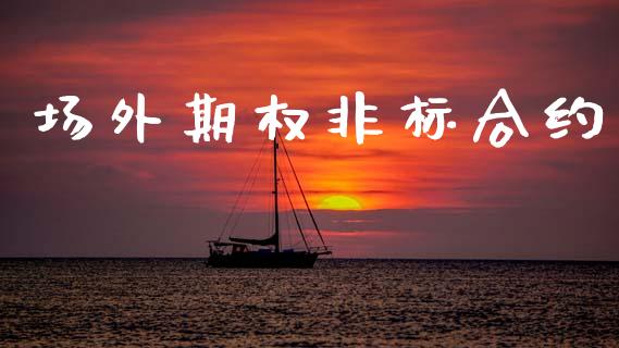 场外期权非标合约_https://wap.sdyuehang.cn_债券资讯_第1张