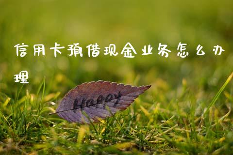信用卡预借现金业务怎么办理_https://wap.sdyuehang.cn_产经新闻_第1张