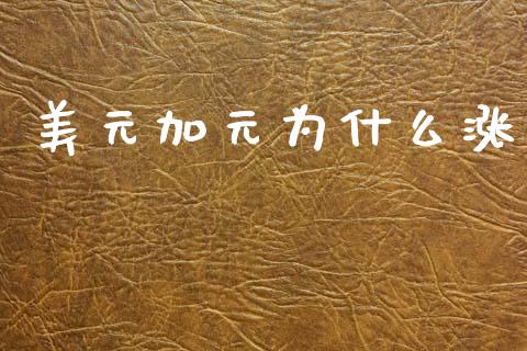 美元加元为什么涨_https://wap.sdyuehang.cn_新股申购_第1张