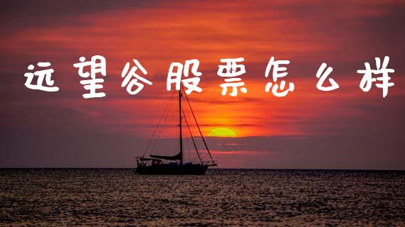 远望谷股票怎么样_https://wap.sdyuehang.cn_美股行情_第1张