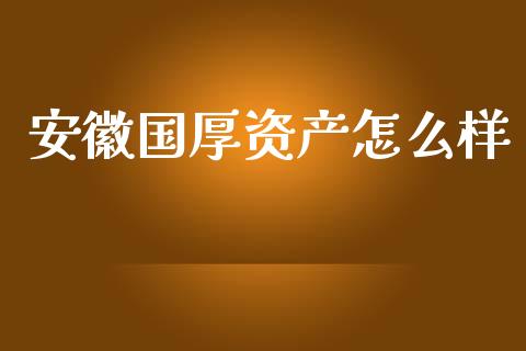 安徽国厚资产怎么样_https://wap.sdyuehang.cn_债券资讯_第1张